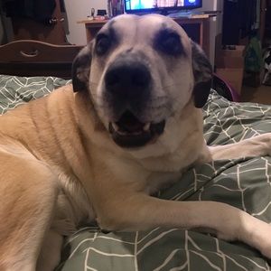 Meet your Posher, Regina